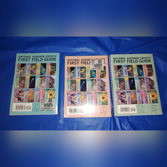 Scholastic National Audubon First Field Guide Reptiles, Insects, and Mammals - Picture 5 of 16